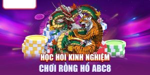 Kinh nghiệm khi chơi rồng hổ Abc8